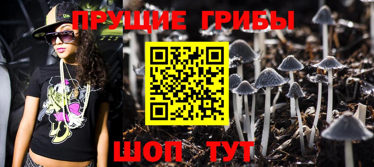 Галлюциногенные грибы мицелий  Вход с VPN  Кирово-Чепецк 