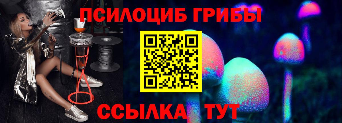 Галлюциногенные грибы Psilocybine cubensis Кирово-Чепецк